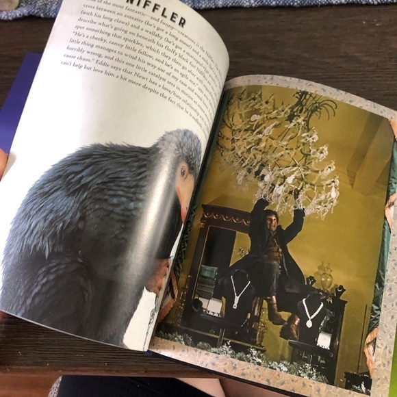 Incredi builds: Fantastic Beasts & Where to find Them: Swooping Evil 3D wood art - Picture 3 of 5